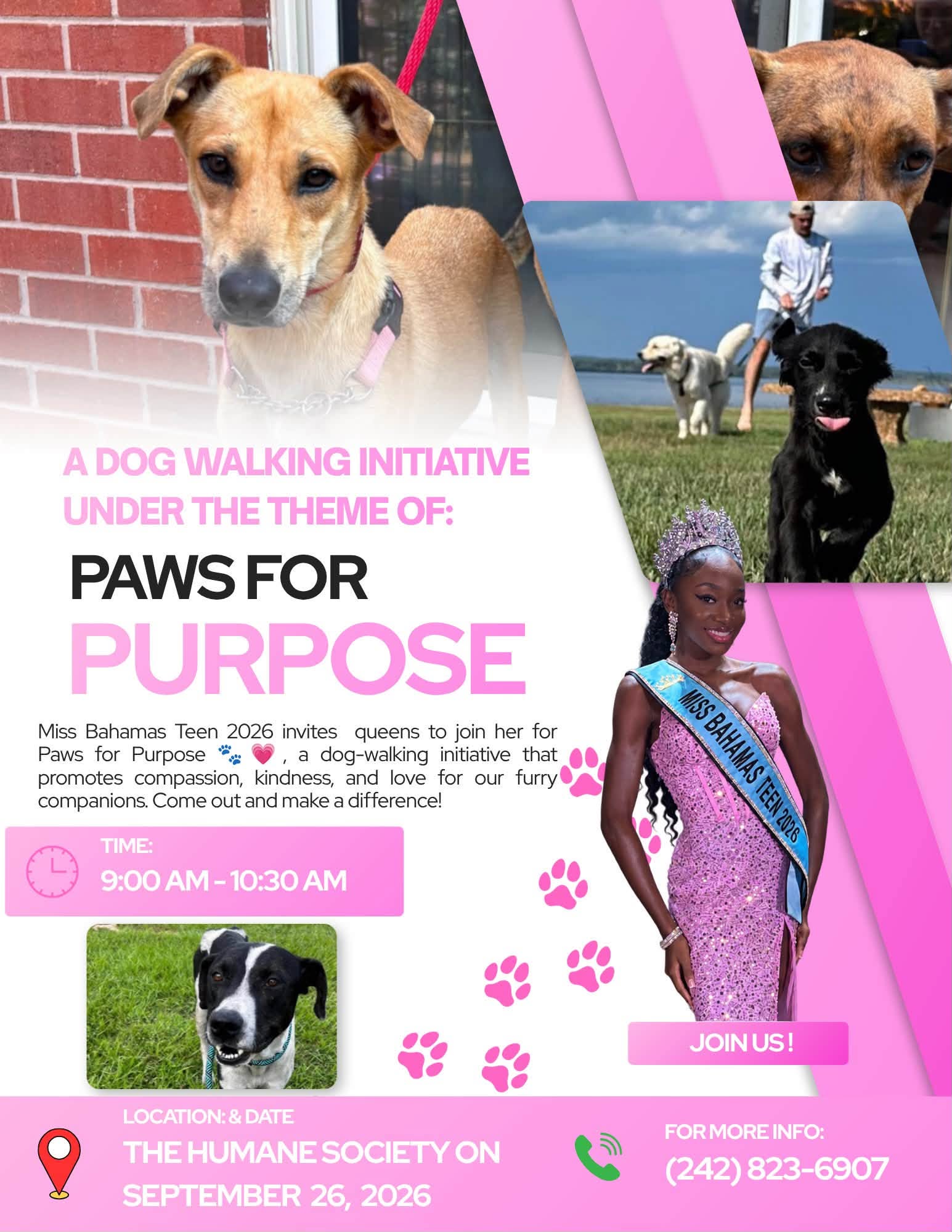Paws for Purpose: Jaden Rolle Launches Her First Dog Walk with the Humane Society